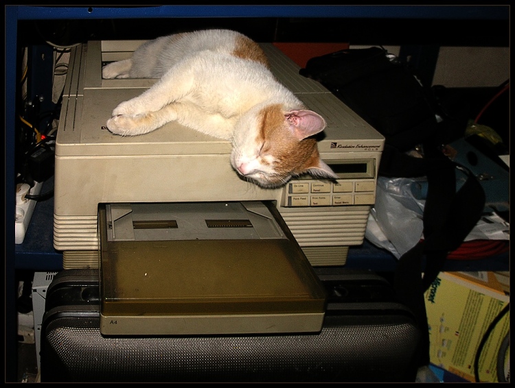 Unknown print error...