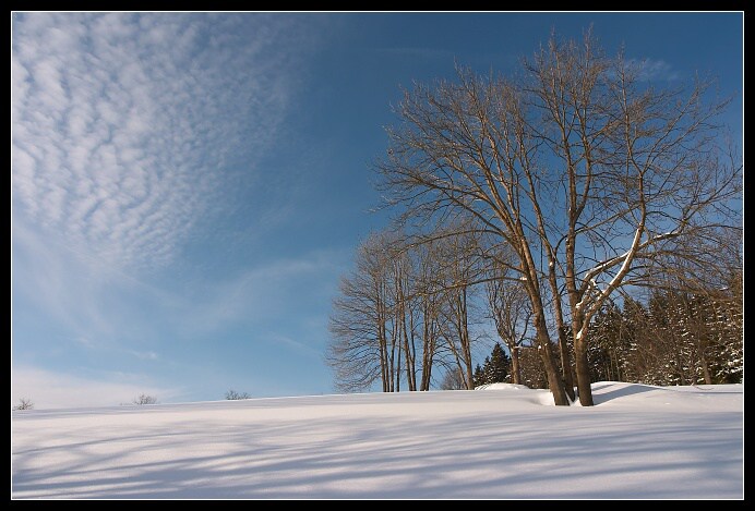 Zima v Jizerkách I.
