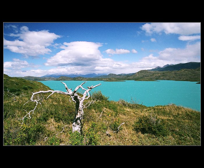 Lago Pehoe