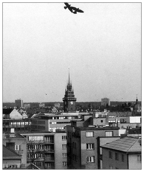 můj svět, moje Pardubice