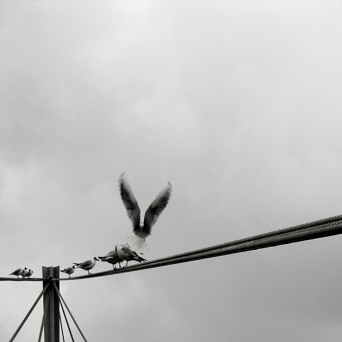 ..:To Be Free/2:..