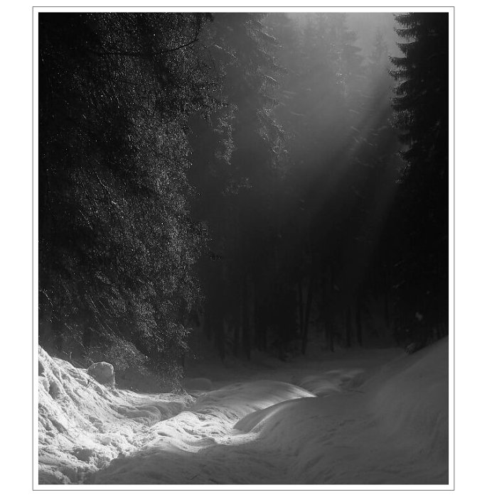 Podvečerní světlo v Chočských vrších