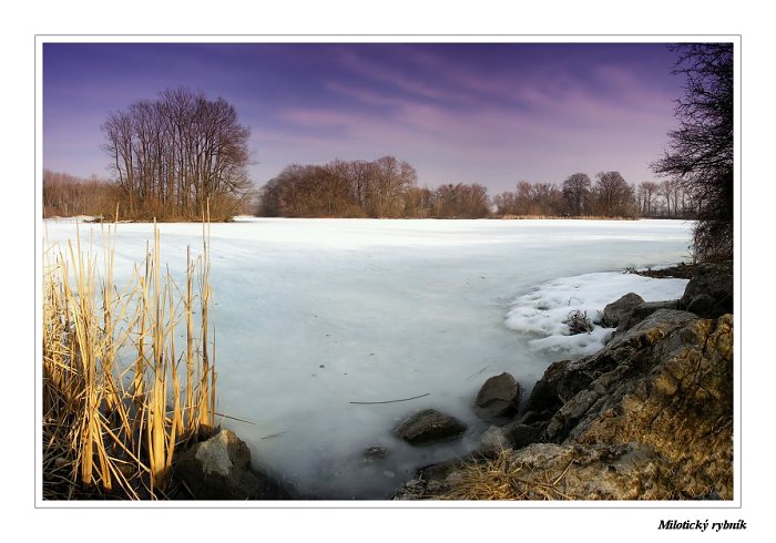 Milotický rybník