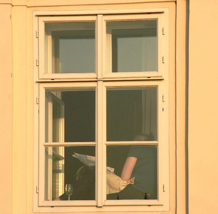 na okně seděla kočka..