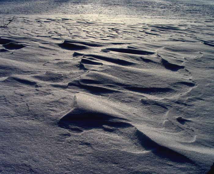 ..Silverplanets..