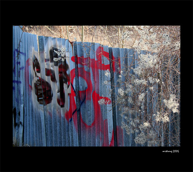 Poezie vlnitého plechu