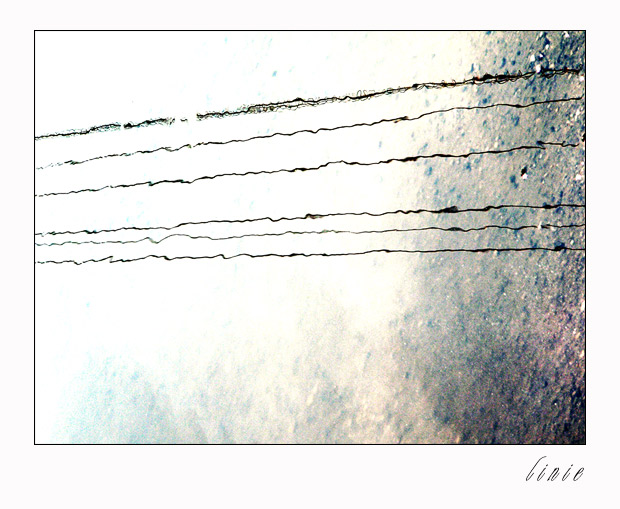 linie