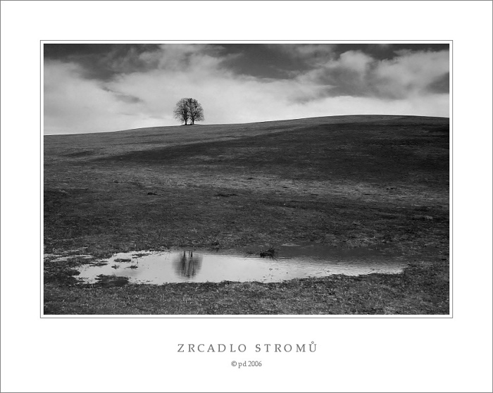 ZRCADLO STROMŮ