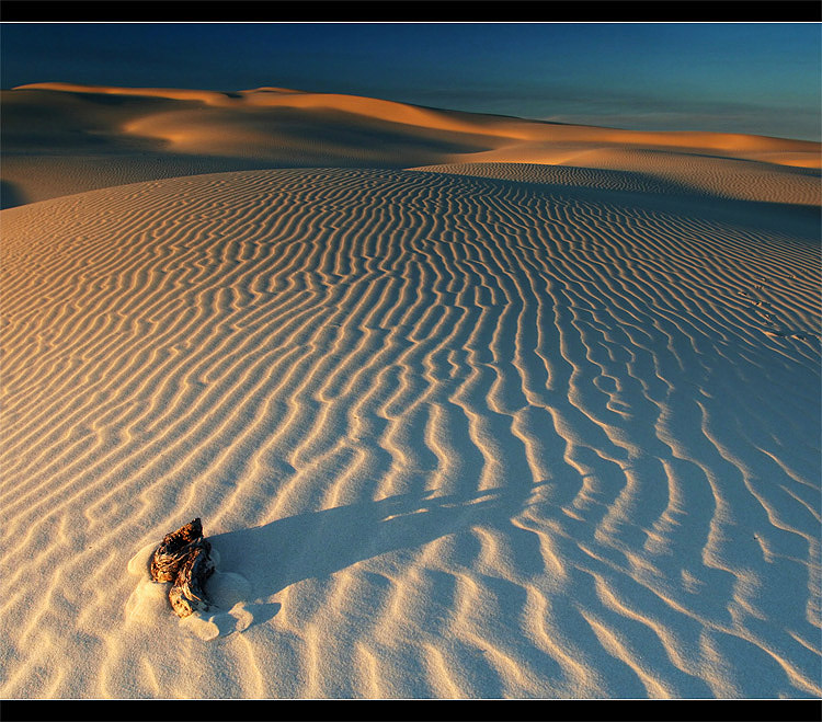  ~ Dunes ~