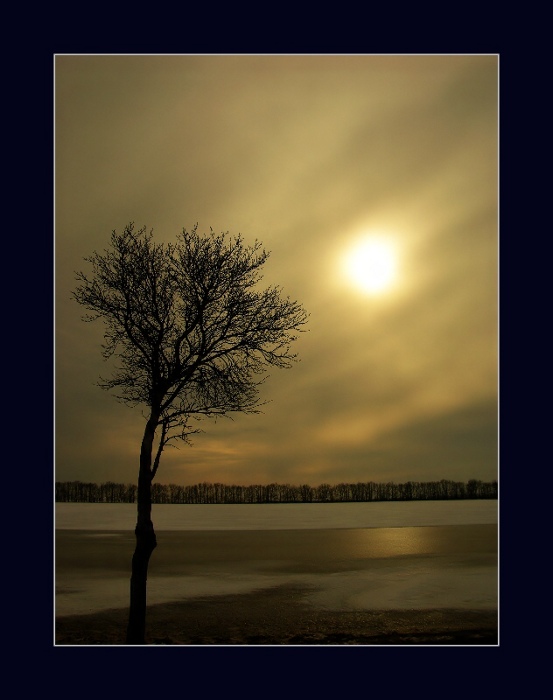 Švestka II