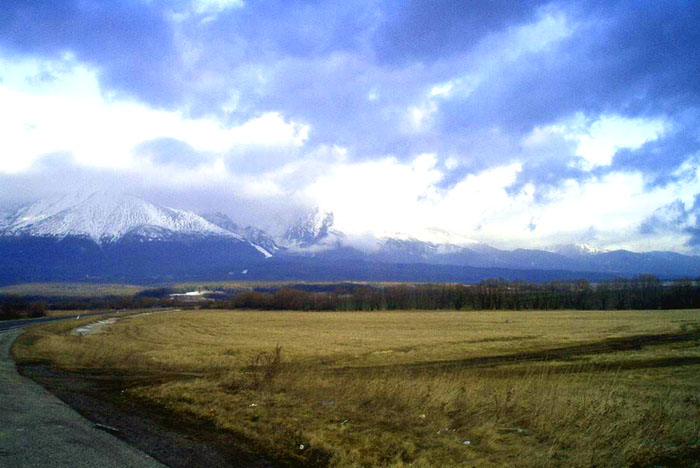 lij oieuroih