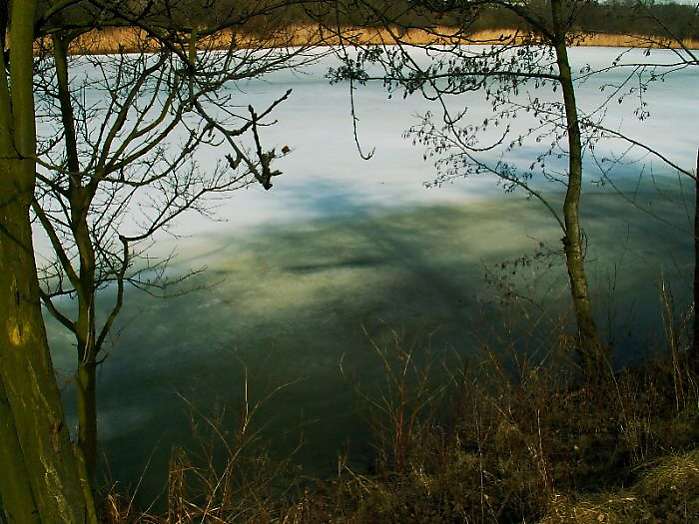 Zamyšlený večer u rybníka...