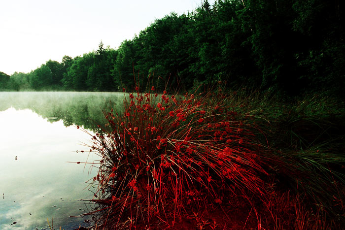 KraJina