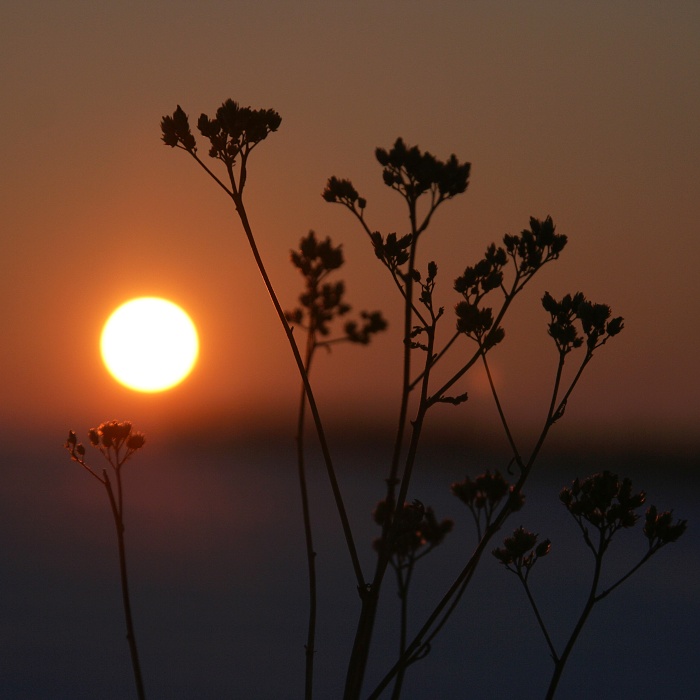 ..večerní pohoda..