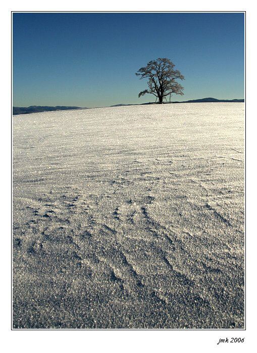 ..zimní..snad poslední..