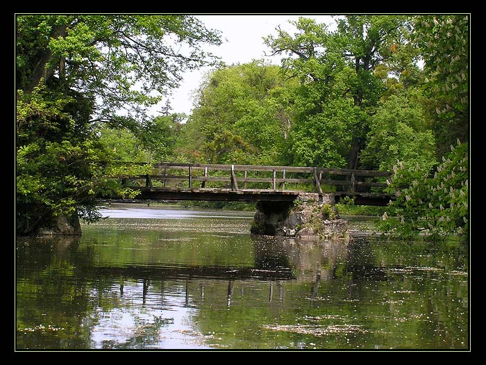 Spomienka na minulé leto