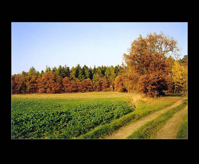 Hlína 2005