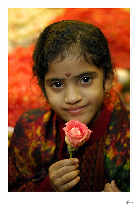 Děvčátko s růží