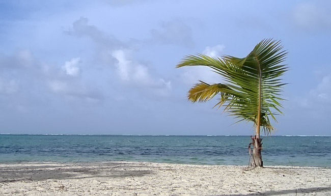 Jedna malá osamocená