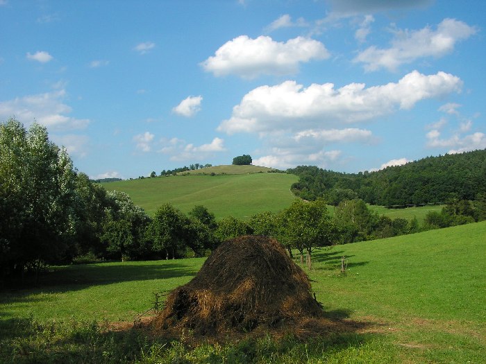 Na Pasekách