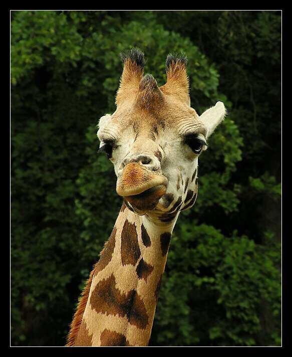 Fotím,prosím úsměv