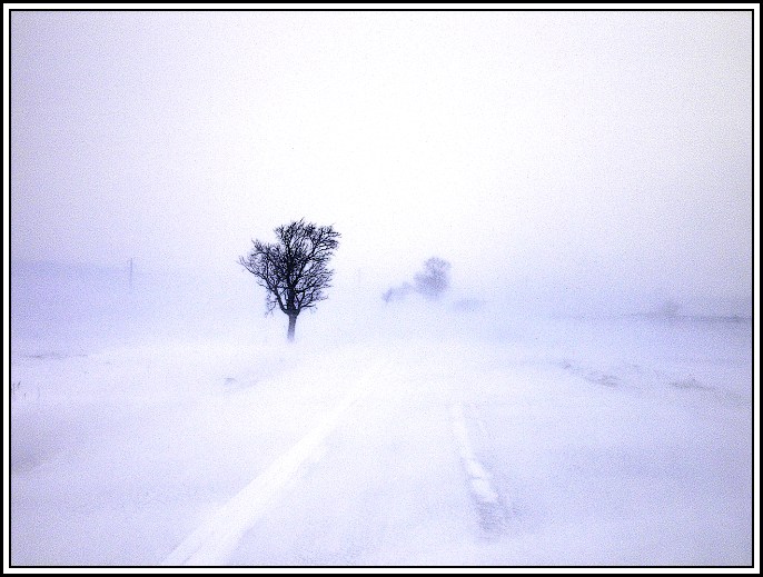 Inverzná snehová búrka