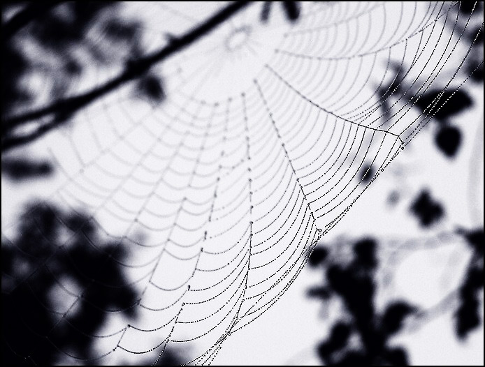 Melancholická síť