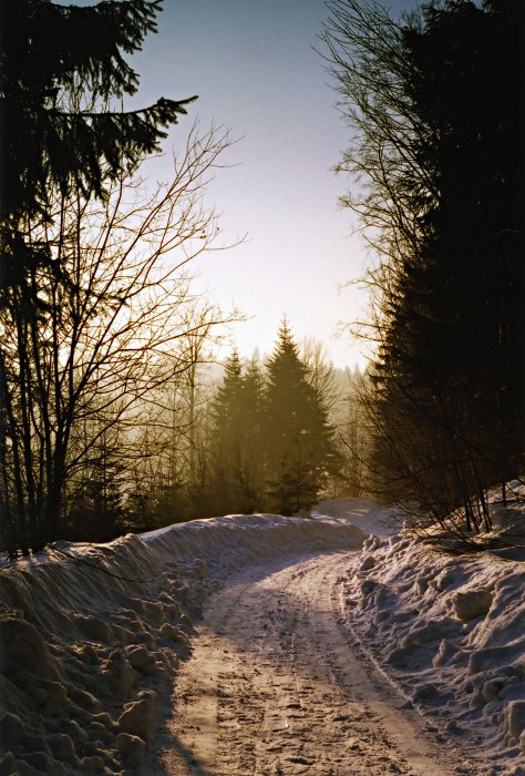 světlo