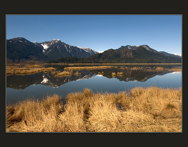 postcard from Canada