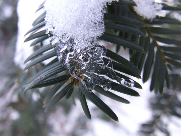 Le froid pique