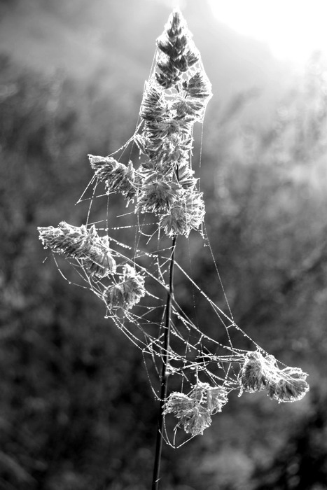zabaleno firmou Pokoutník a spol (pro ty, co si potrpí na anglické titulky Packed by Pokoutník & Co)