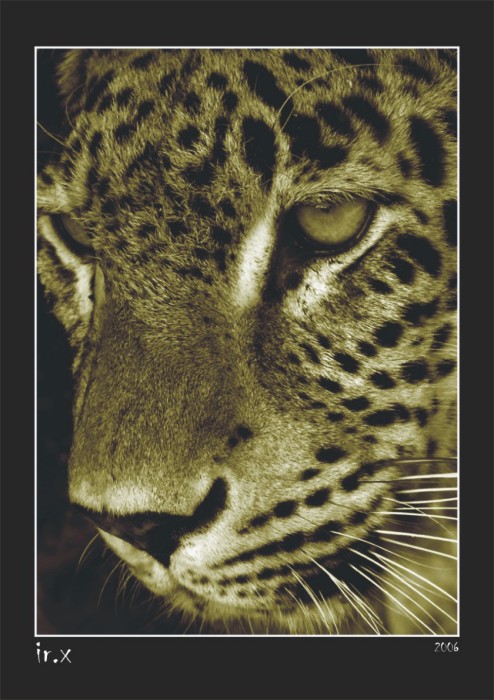 zoo
