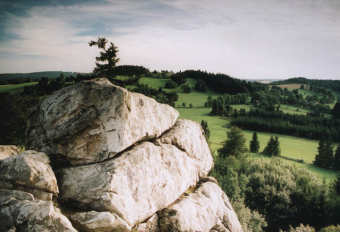 Drátník