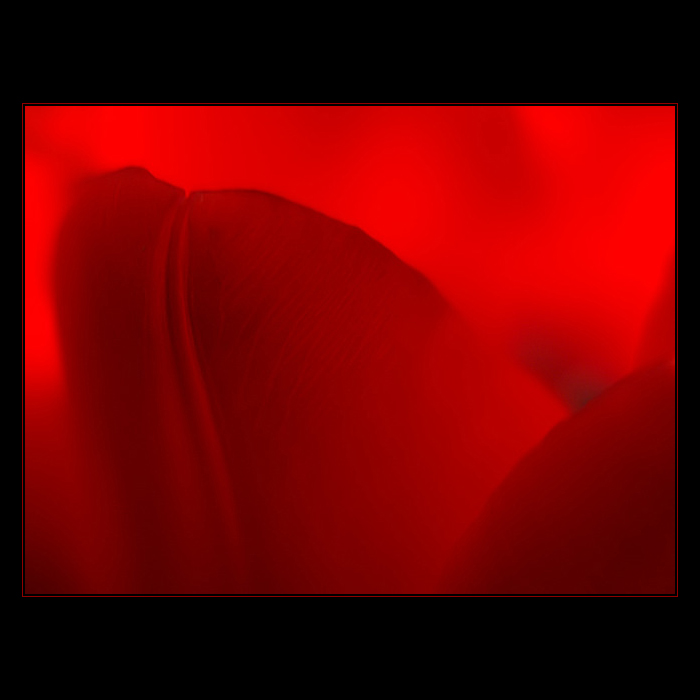 ***DEEP RED***