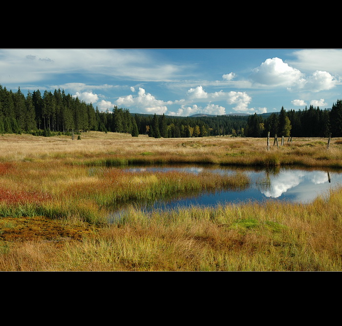 Šumavské pohlednice    Javoří pila
