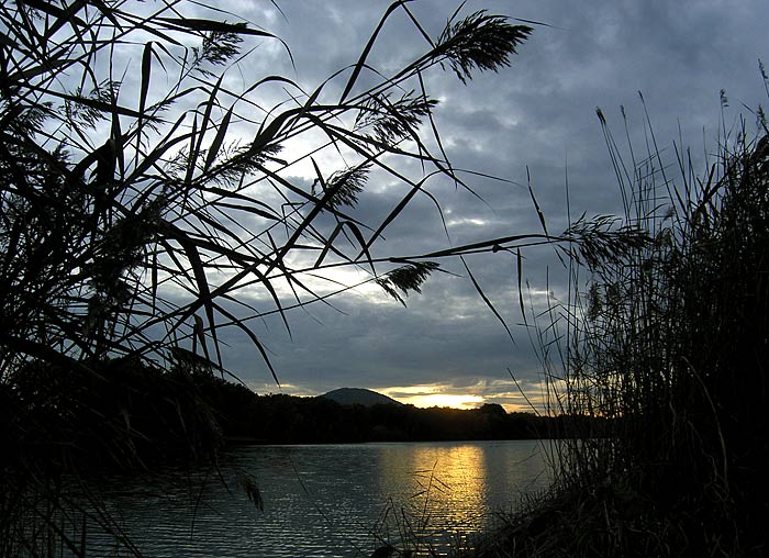 Holanský rybník