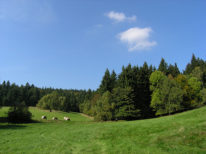 Podzimní