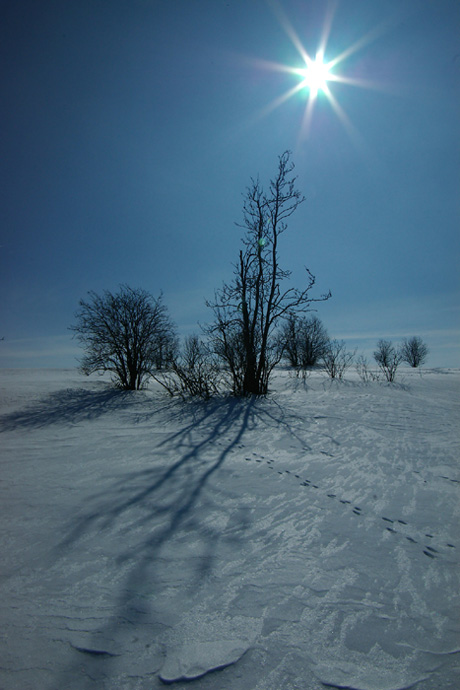 POoslednií zablesky zimy na Vysocine