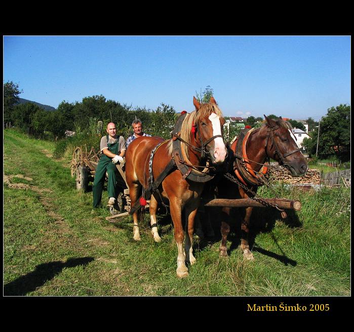Spokojný život dedinský