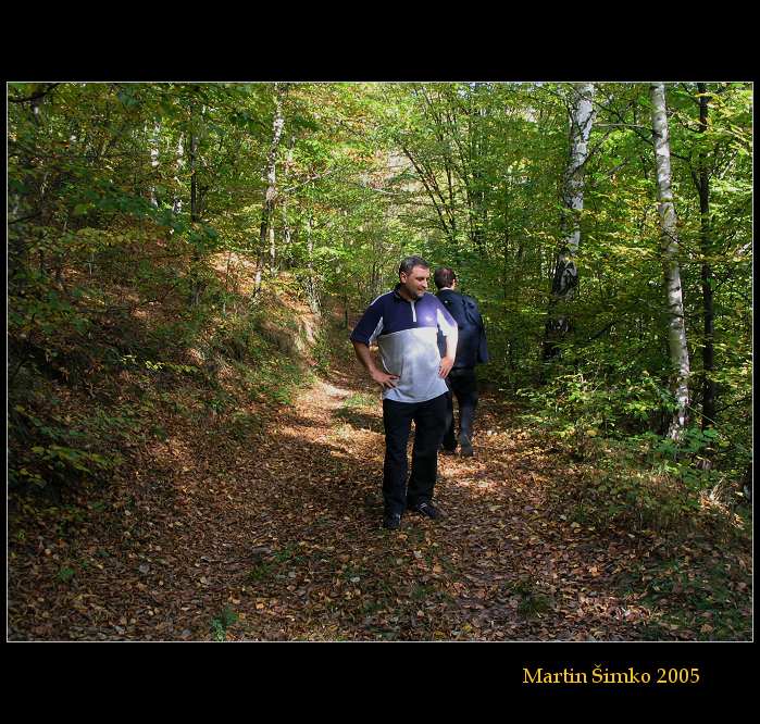 Which direction to choose?