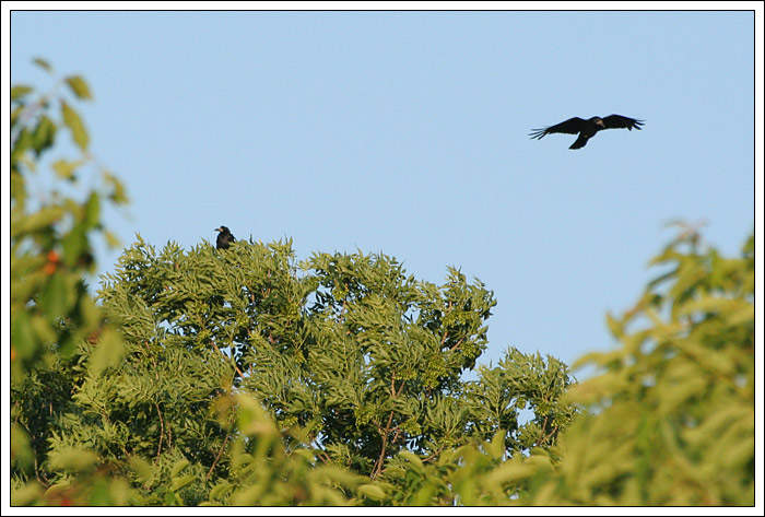 Tak ja už teda letím...