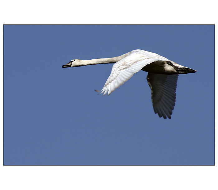 Jen tak si broukám...