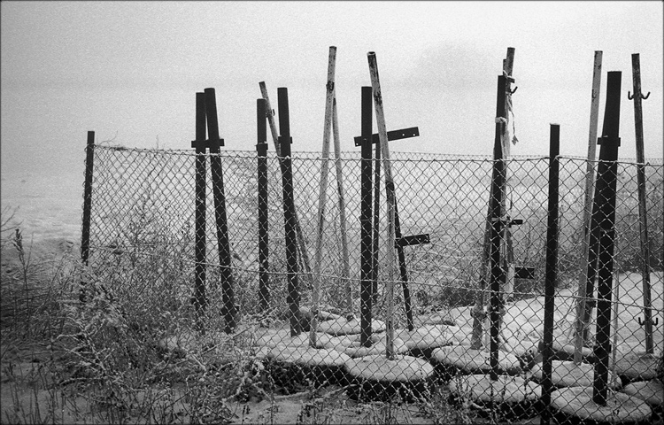Zimoviště
