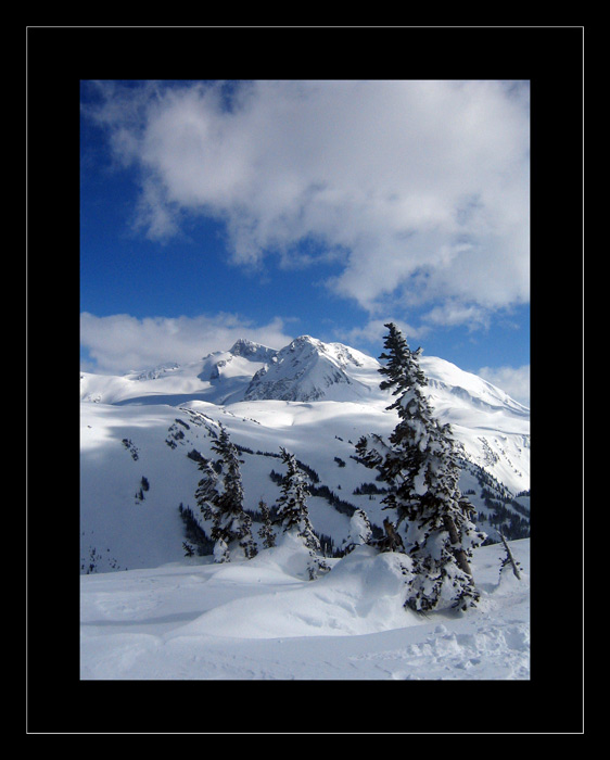 mt .Garibaldi from Cowboy ridge