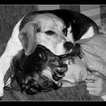 Watching TV (pro PD :-)