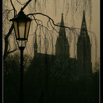 Vyšehradské vertikály