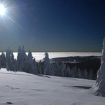 Pozdrav z Krušných hor