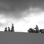 Poklona čaroději hory