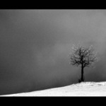 Strom II