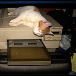 Unknown print error...